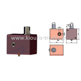 1017-ΚΑΣΤΑΝΙΑ 10Χ9 ΜΕ ΔΙΧΑΛΟ ΓΙΑ ΡΟΔΑΚΙ